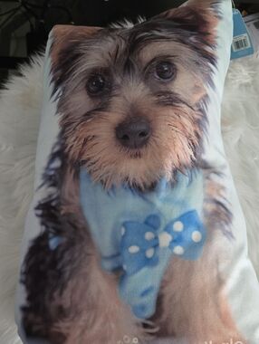 Unbranded Blue Bow-Tie Yorkshire Terrier Dog Pillow